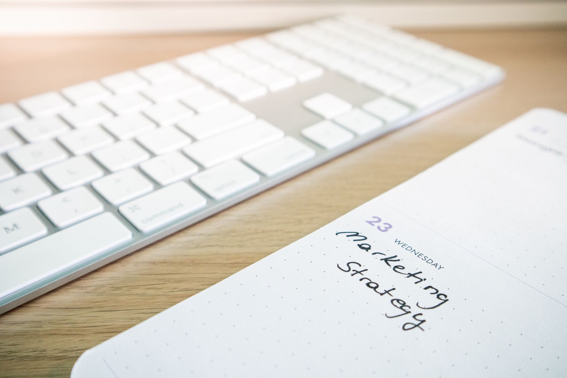 No-Code AI Tools for Small Businesses on a Budget