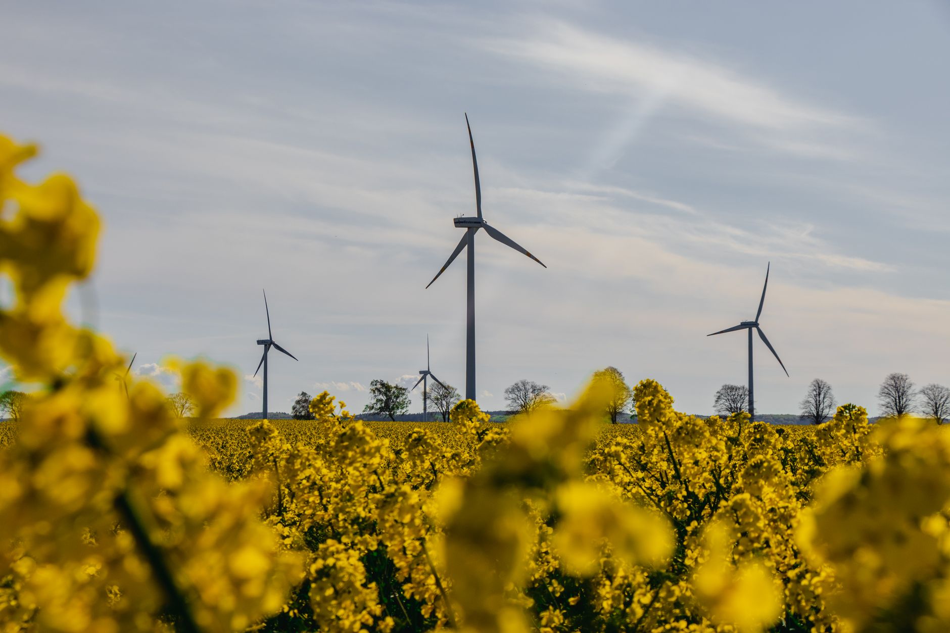 UK Renewable Energy Sector: Investor Briefing 2025